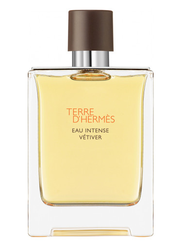 Hermes Terre D`Hermes Eau Intense Vetiver for Men Eau De Parfum