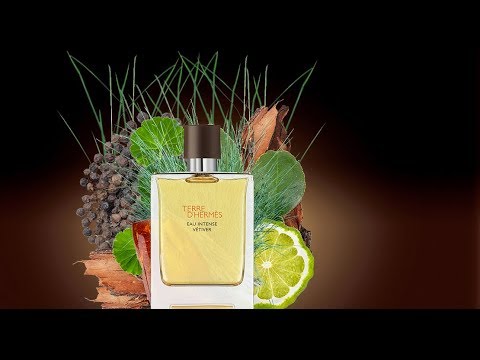 Hermes Terre D`Hermes Eau Intense Vetiver for Men Eau De Parfum