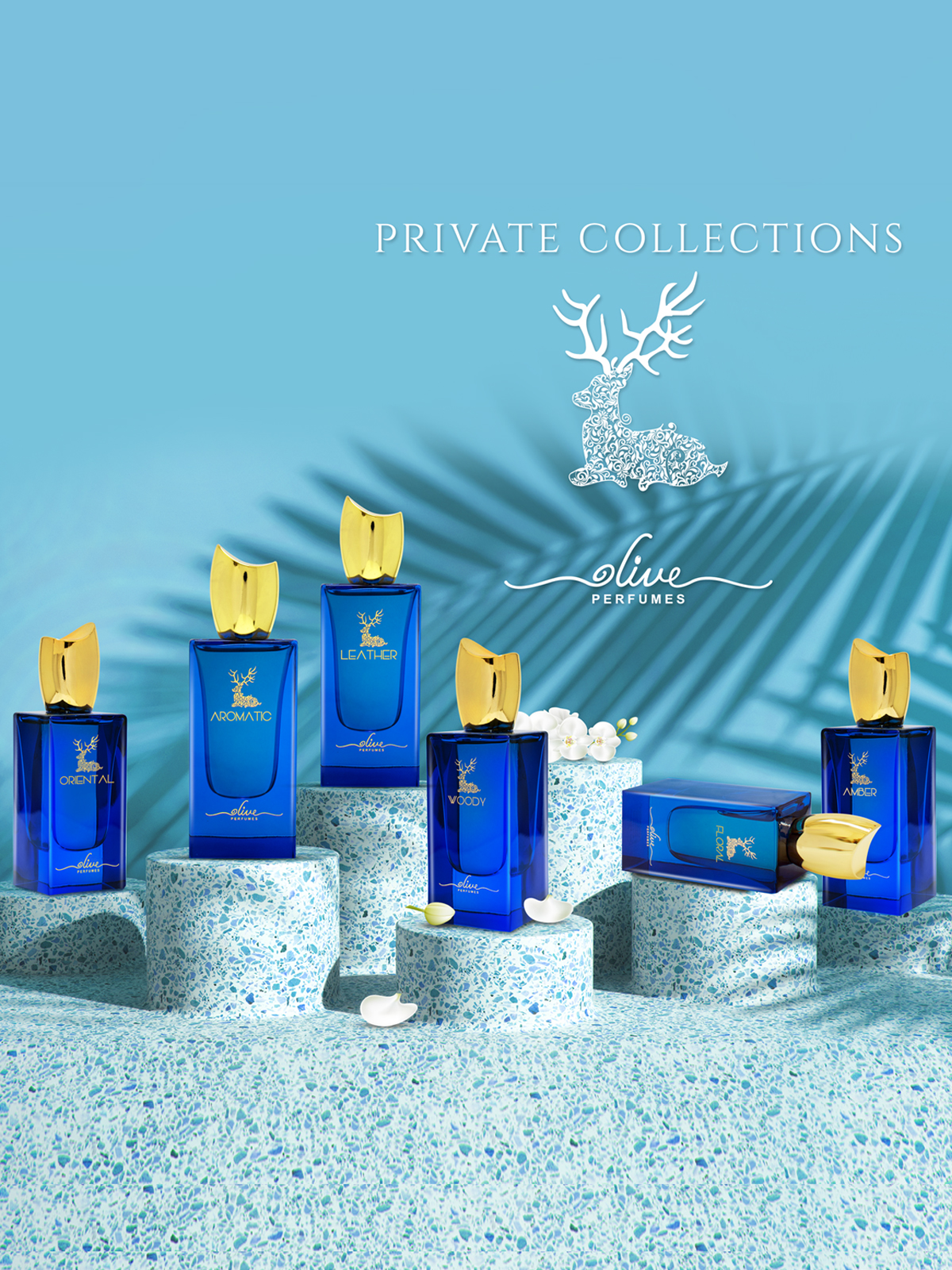 Olive Perfumes Private Collections Set