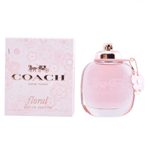 ALYSSA ASHLEY ESSENCE DE PATCHOULI L EDP 100 ML VAPO