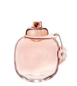 ALYSSA ASHLEY ESSENCE DE PATCHOULI L EDP 100 ML VAPO