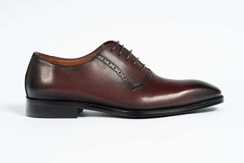 Wine Oxford Lace-up Loafer