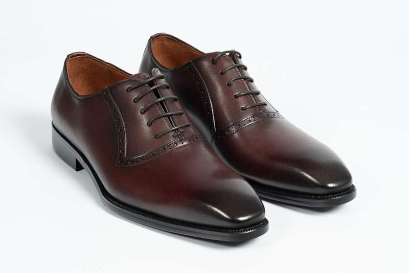 Wine Oxford Lace-up Loafer
