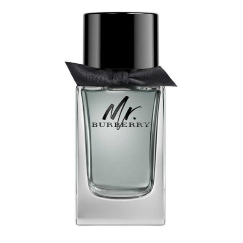 Burberry Mr. Burberry M EDT 100 ml