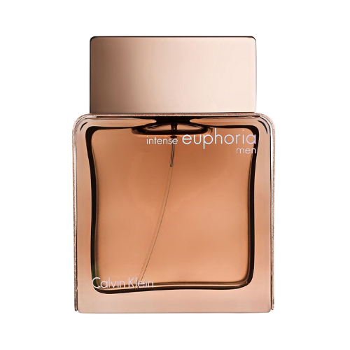 CHRISTIAN DIOR HOMME M EDT 100 ML VAPO