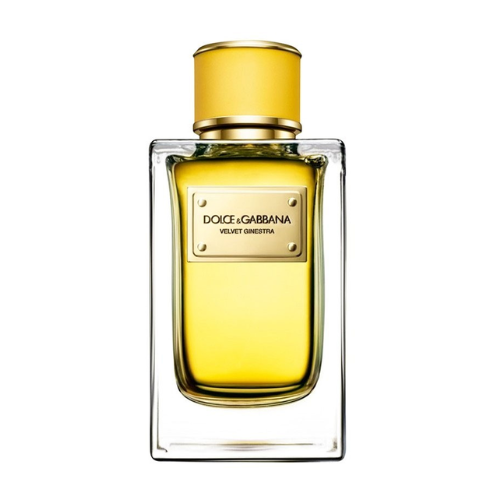 Dolce & Gabbana Velvet Collection Ginestra L EDP 150 ml