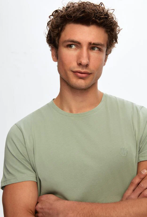 Ds Damat Regular Fit  Light Green Plain Knitted T-shirt