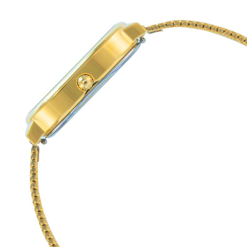 ELIZ ES8832L2GCG SS & Mesh Strap 3-Hands Women"s Watch