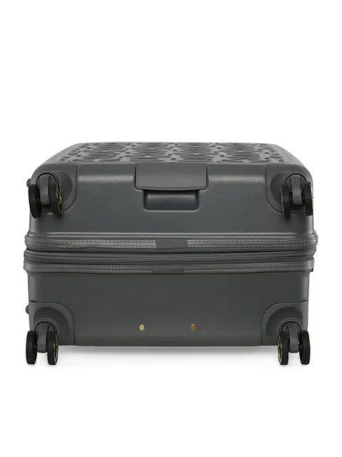 Calvin Klein Big Monogram color Grey Large Size Luggage