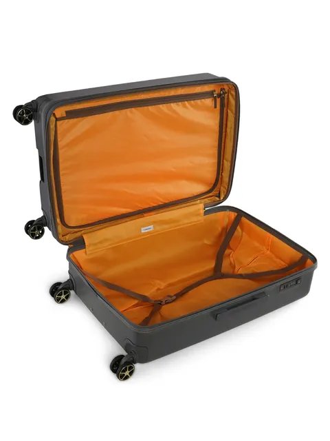 Calvin Klein Big Monogram color Grey Large Size Luggage