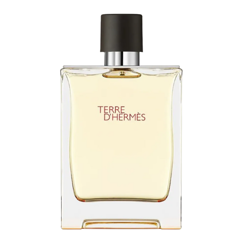 Hermes Terre D'Hermes for Men Edt 100ml