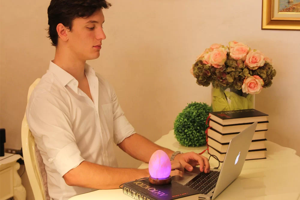 Himalayan Salt USB Lamp Egg Shaped