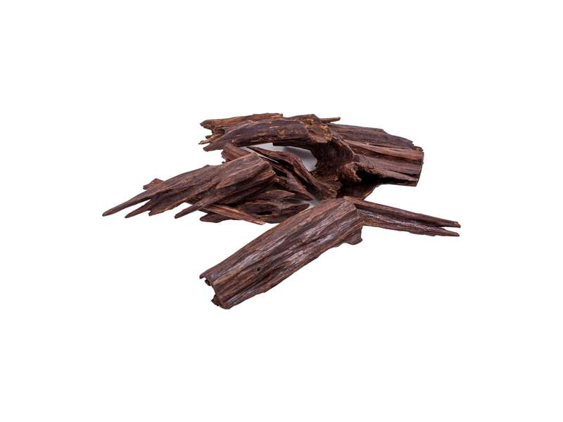 Holy Oud Aghar Oud 888 24GM