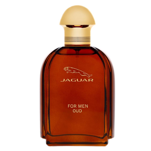 Jaguar Oud M EDP 100 ml