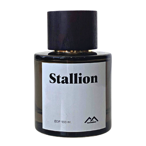 MONTE BIANCO STALLION EDP 100ML VAPO