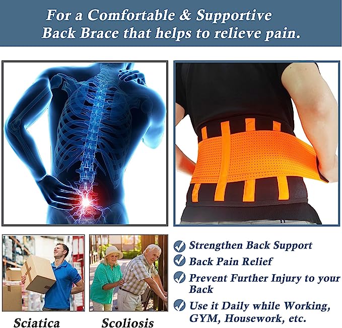 Waist Trainer for Women, Sweat Belt Men, Belly Trimmer, Lower Back Support with Adjustable Pressure Straps