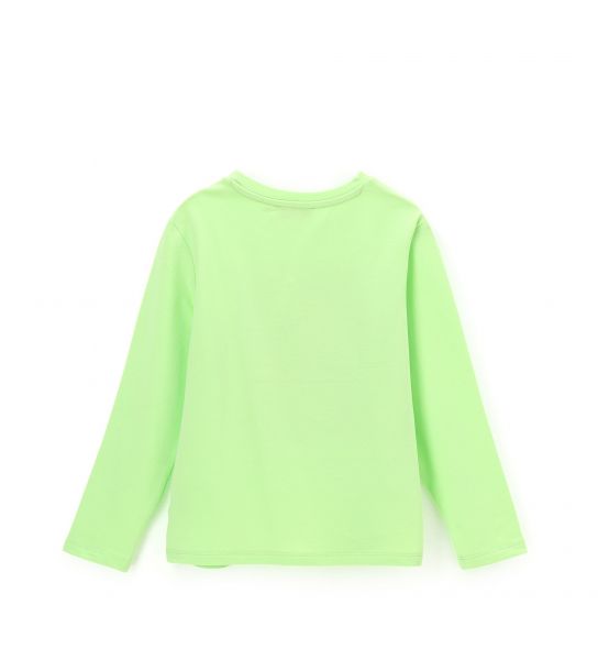 AZP3055F1VER-GREEN