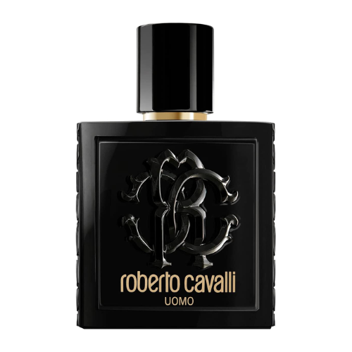 Roberto Cavalli Uomo M EDT 100 ml