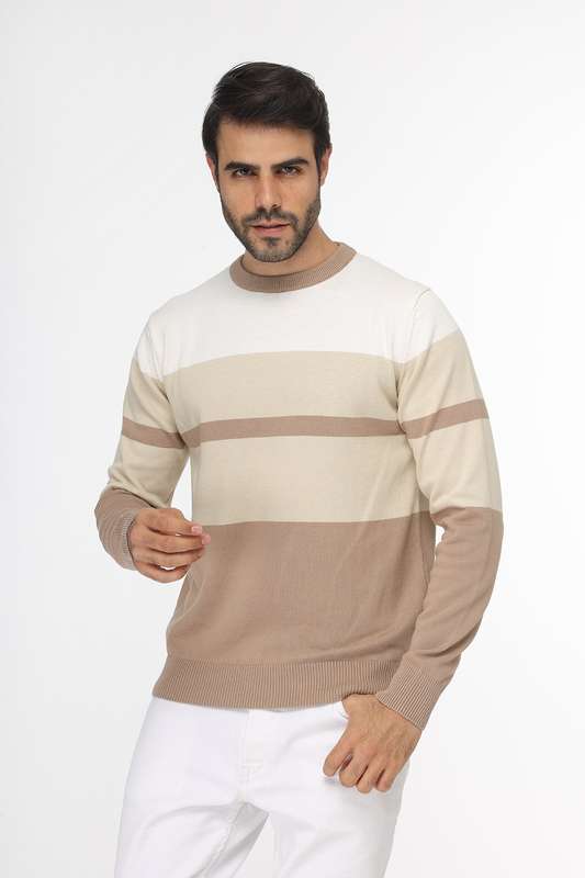 Pullover Beige 20