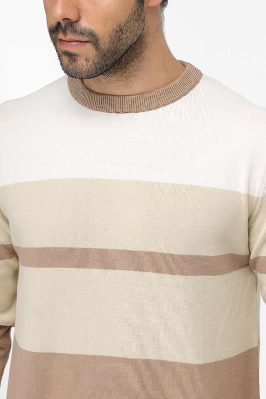 Pullover Beige 20