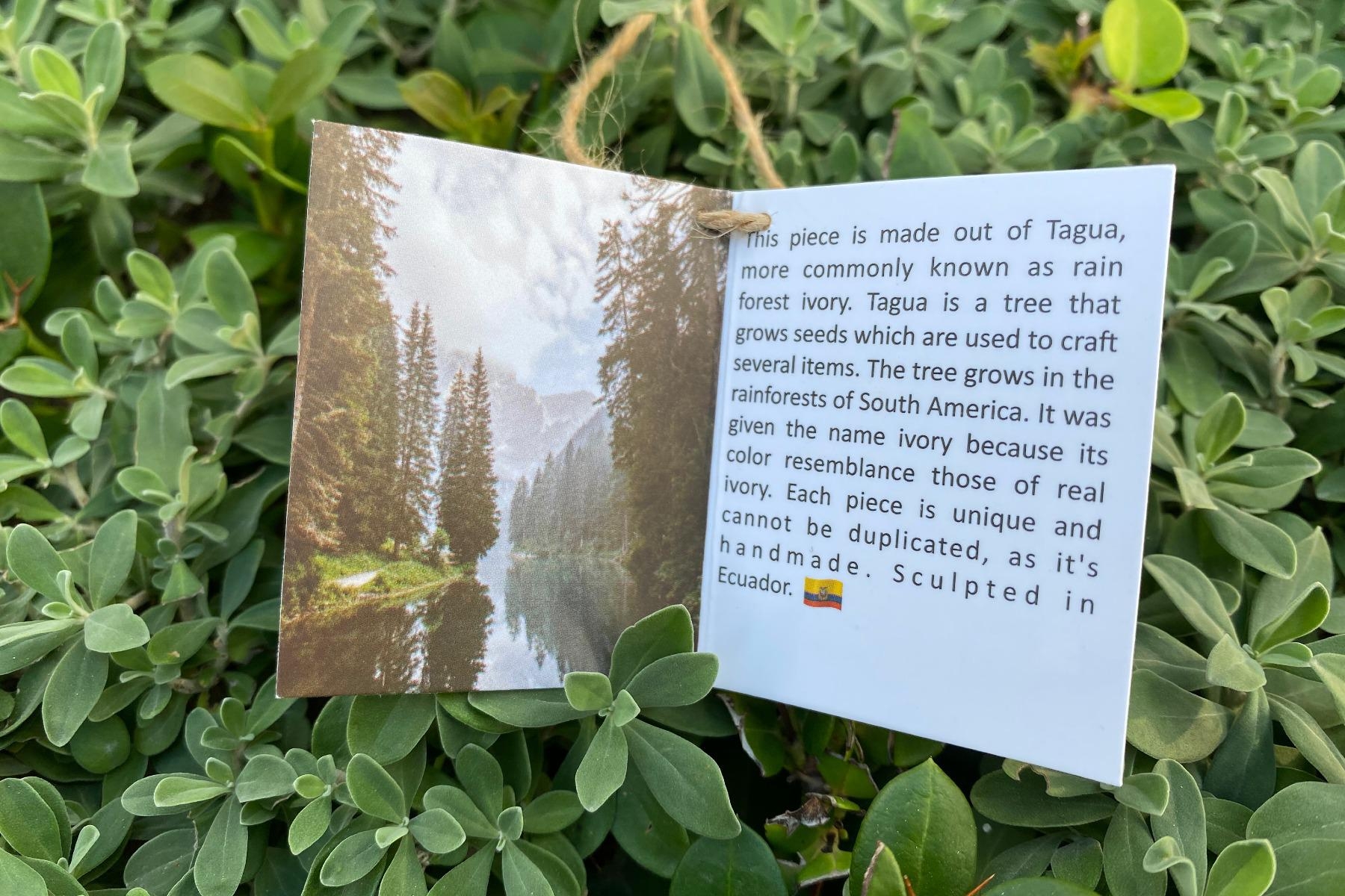 Women bracelet green natural seeds