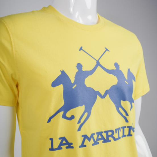 Men"s 100% cotton regular fit short-sleeved T-shirt - Ramon