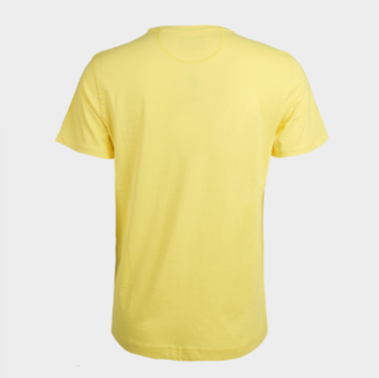 Men"s 100% cotton regular fit short-sleeved T-shirt - Ramon