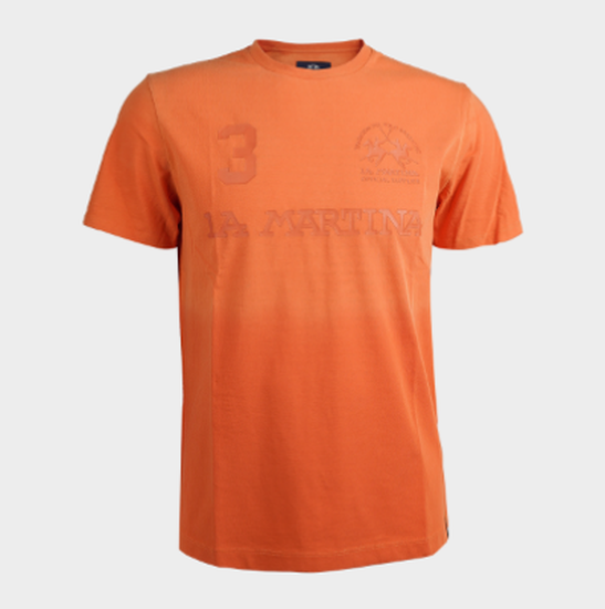 Men"s 100% cotton regular fit short-sleeved T-shirt - Viktor