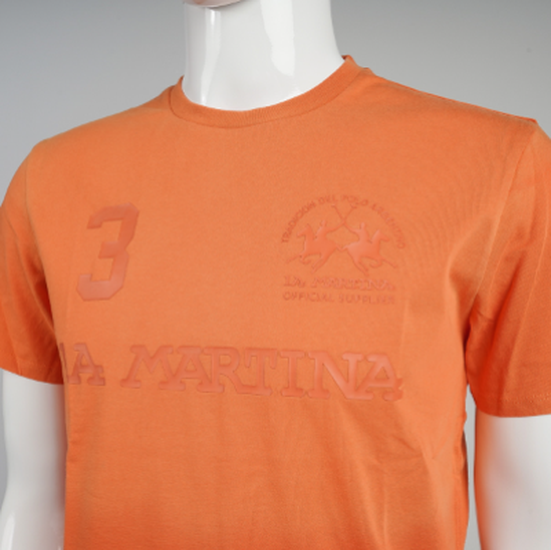 Men"s 100% cotton regular fit short-sleeved T-shirt - Viktor