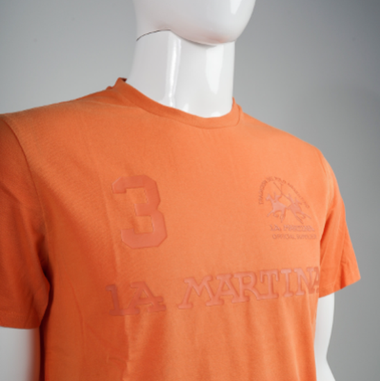 Men"s 100% cotton regular fit short-sleeved T-shirt - Viktor